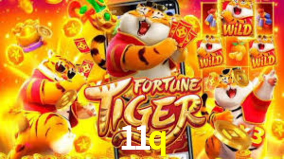 Descubra a Essência do 11q: Nossa História e Compromissos